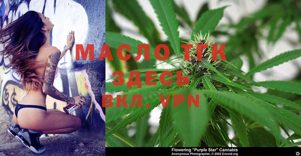 винт Богданович