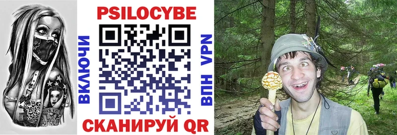 Псилоцибиновые грибы MAGIC MUSHROOMS mega зеркало Улан-Удэ даркнет сайт